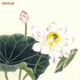 EM03020
