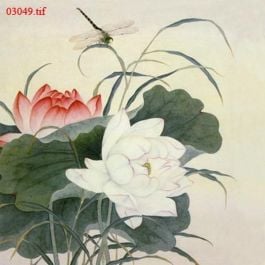 EM03049