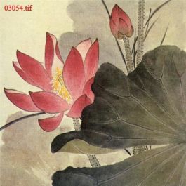 EM03054