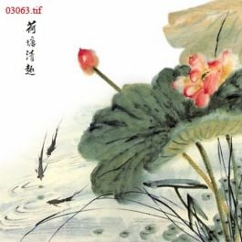 EM03063