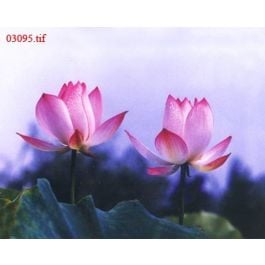 EM03095