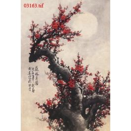 EM03163