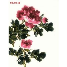 EM03203