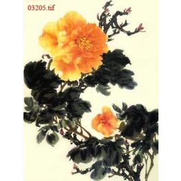 EM03205