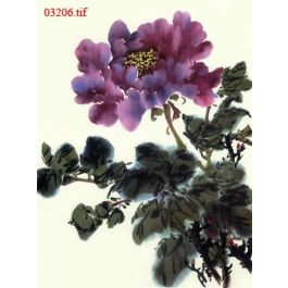 EM03206
