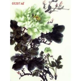 EM03207