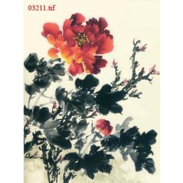 EM03211