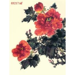EM03217
