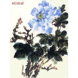 EM03218