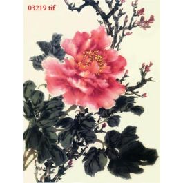 EM03219