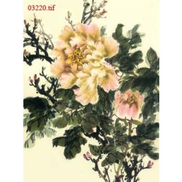 EM03220