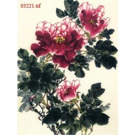 EM03221