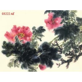 EM03222