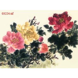 EM03224