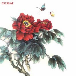 EM03236