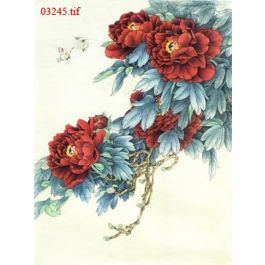 EM03245