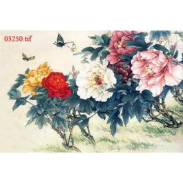 EM03250