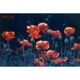 EM03312