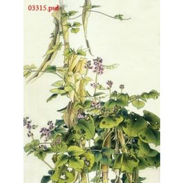 EM03315