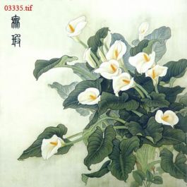 EM03335
