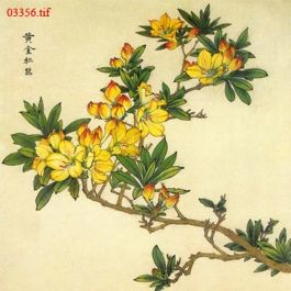 EM03356