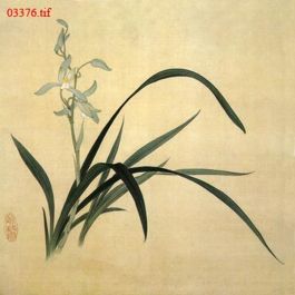 EM03376