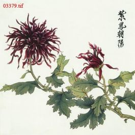 EM03379