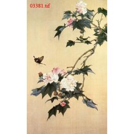EM03381