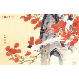 EM03657