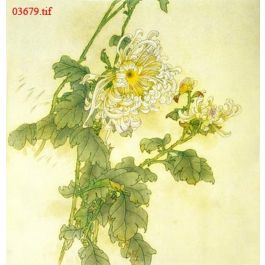 EM03679