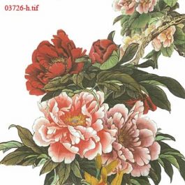 EM03726-h