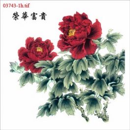 EM03743-1h