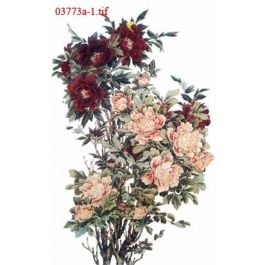 EM03773a-1