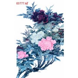 EM03777