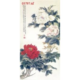 EM03797