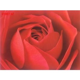 EM03807