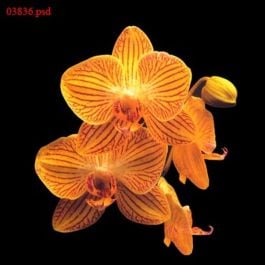EM03836