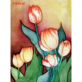 EM03849