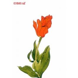 EM03860