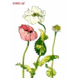 EM03861