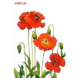EM03862