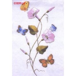 EM03899