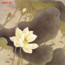 EM03905