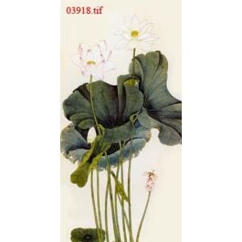 EM03918