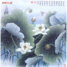EM03921