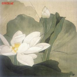 EM03926