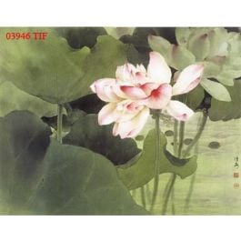 EM03946