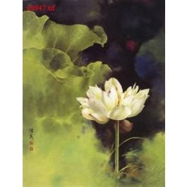 EM03947