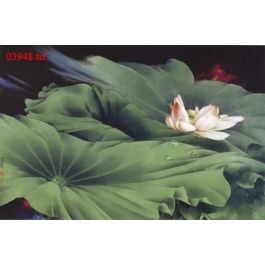EM03948