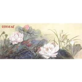 EM03956